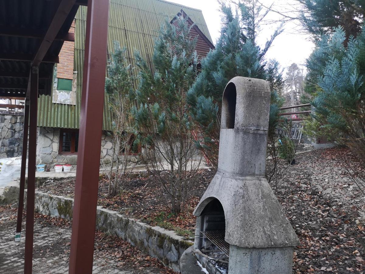 Vila Ines シナヤ エクステリア 写真